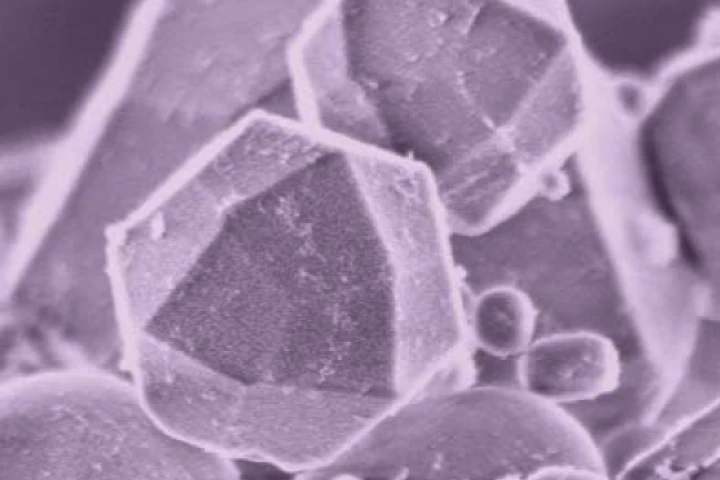 A team of scientists has shown that carbon nanotubes can be broken down by an enzyme found in white blood cells