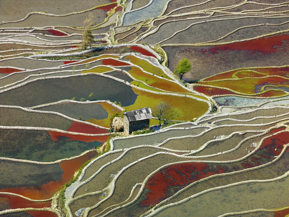 Nominee, Professional, Landscape. Yunnan Province China