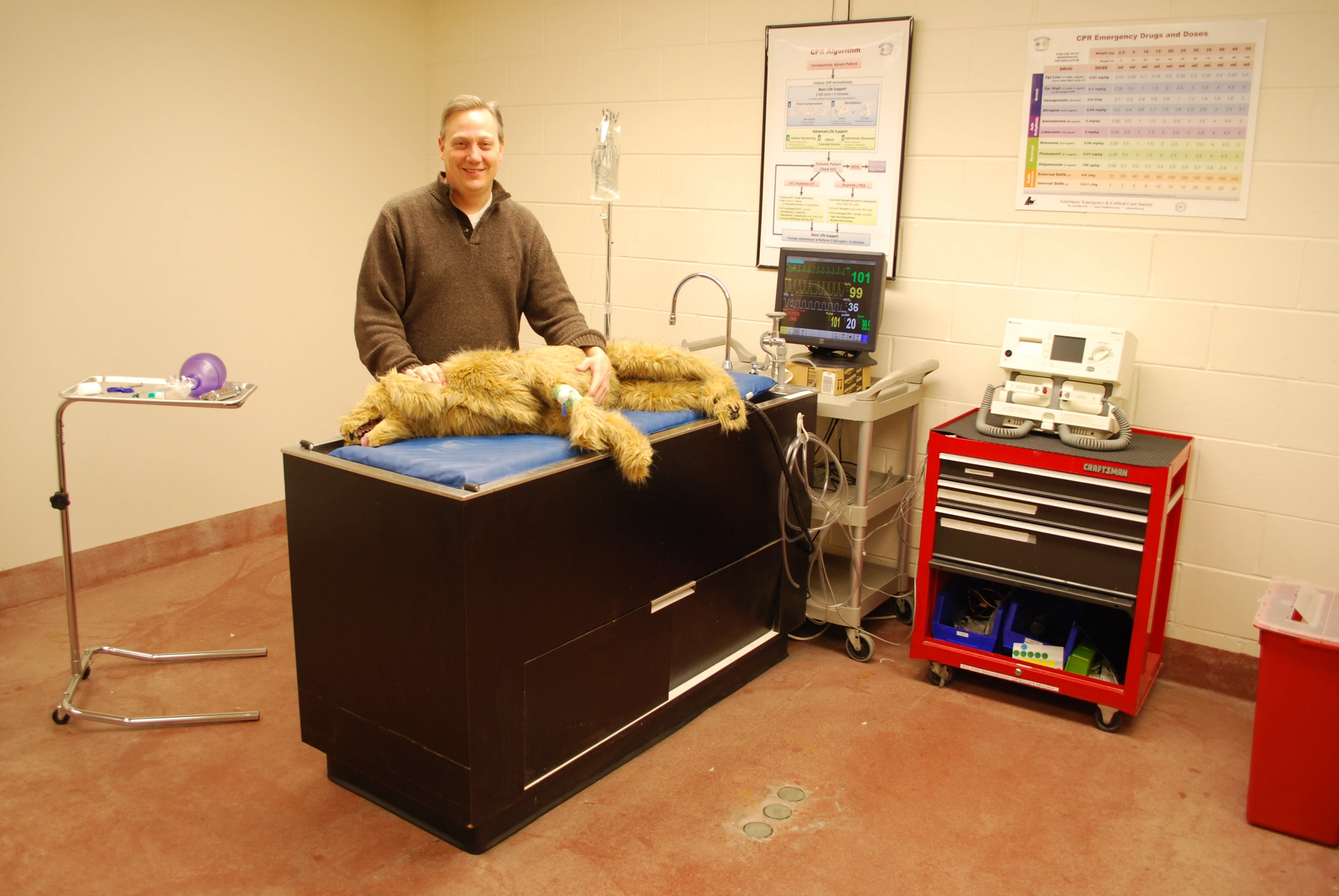 Assistant professor of emergency and critical care Daniel Fletcher has led the creation of the simulation vet care center at Cornell University