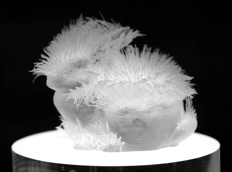 A printed rabbit, soft to the touch and with detailed surface texture