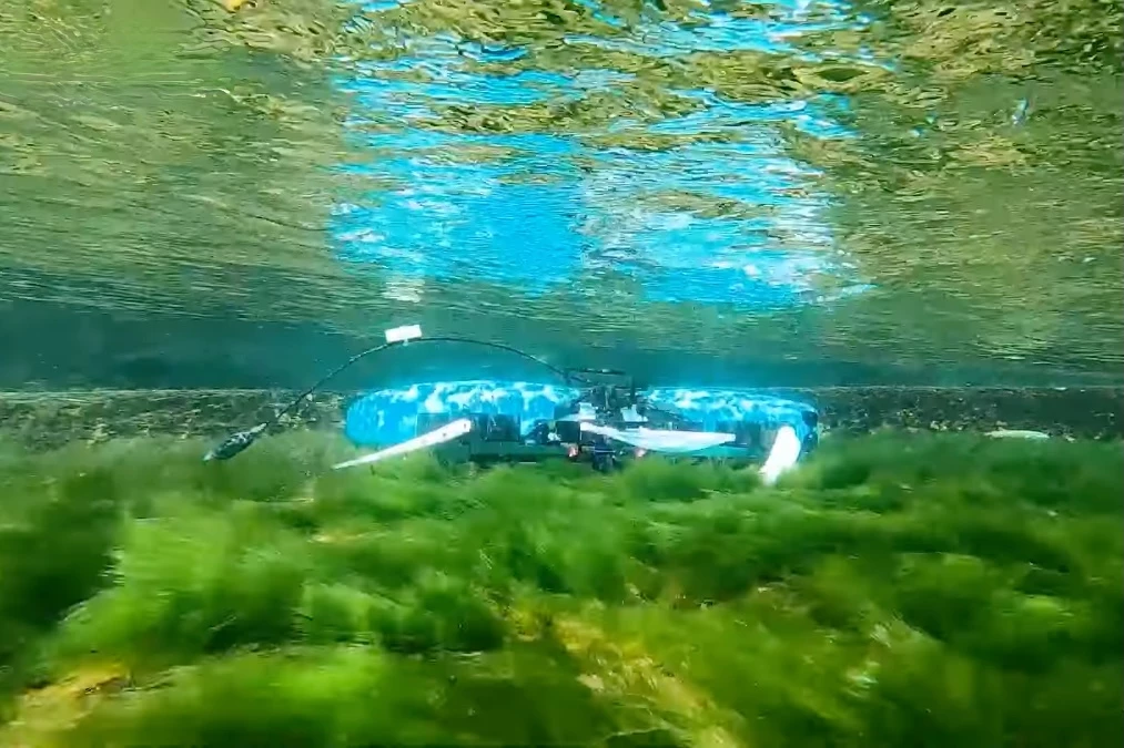 When the water isn't deep enough for proper swimming, BLUE can crawl