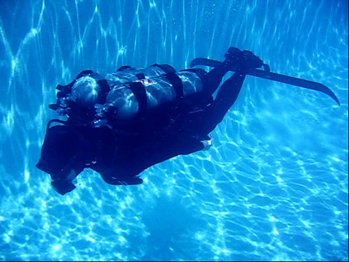 The DOL-Fin HP is more for scuba diving