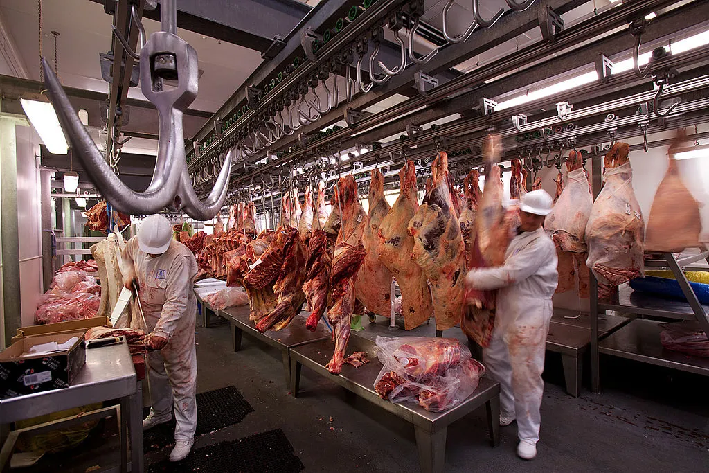 Laboratory groen meat is on the way, but don't expect it to look like this - currently the result looks more like ground scallops (Photo: Jorge Royan)