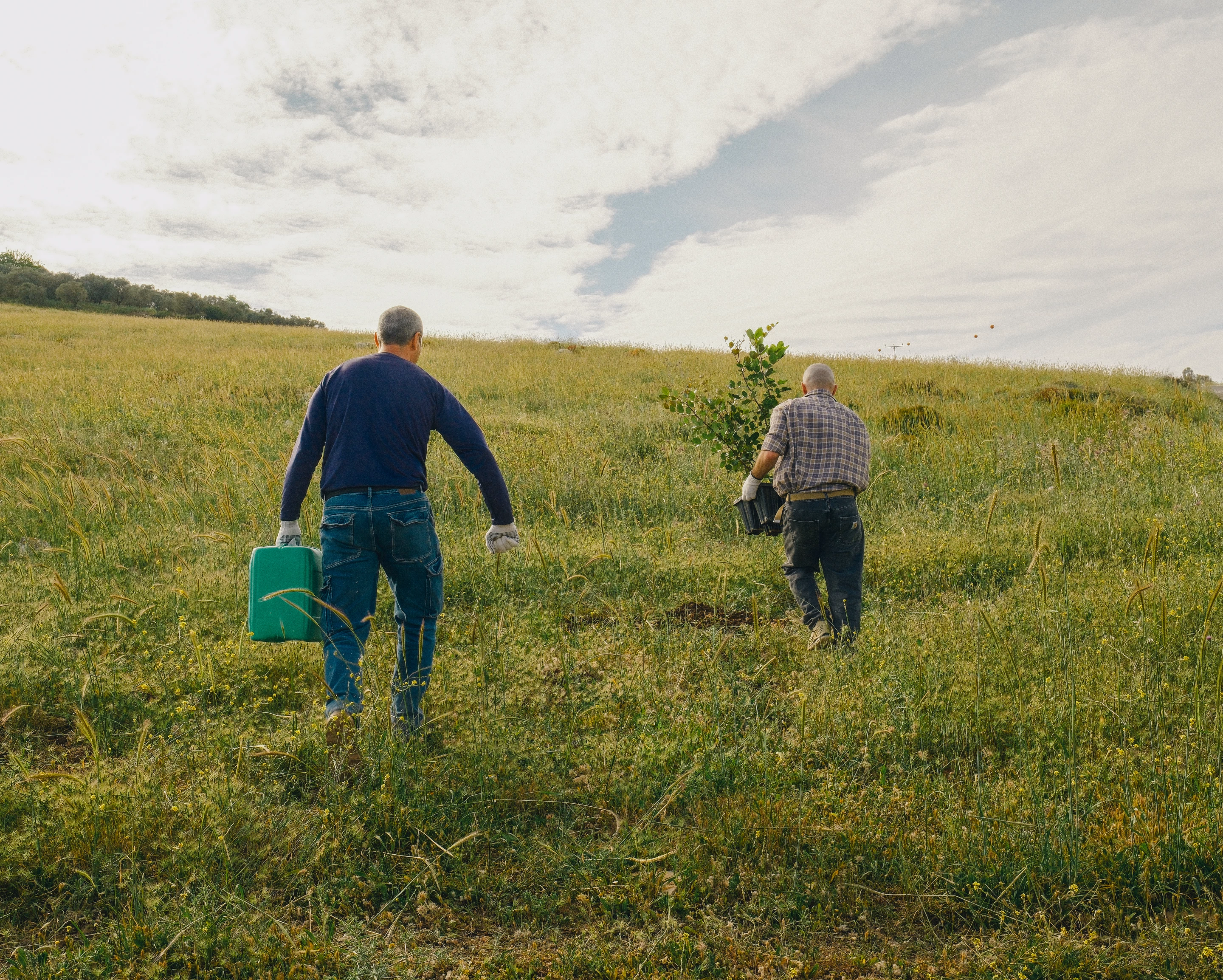TreeSoil is a laboratory in the field, merging architecture, material science, and plant biology into living research