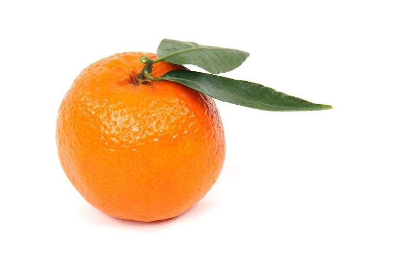Scientists are using artificial vision technology to detect rotten oranges, and sort citrus fruit by quality