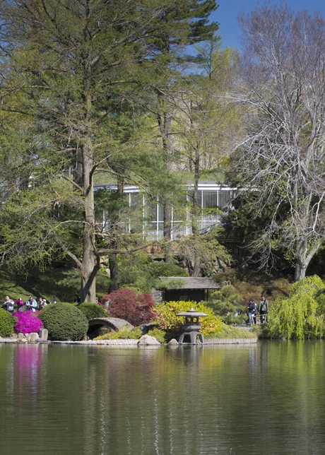 Close to 60,000 plants have been installed around the building, seamlessly blending the visitor center into the green tapestry of the garden
