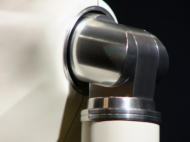 A close-up of Palette's shoulder joint
