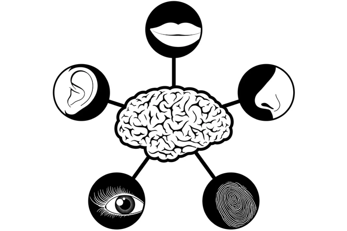 IBM's "5-in-5" list for 2012 predicts the five sense-related technologies enabled by cognitive computing systems that will impact our lives in the next five years (Image: Shutterstock)