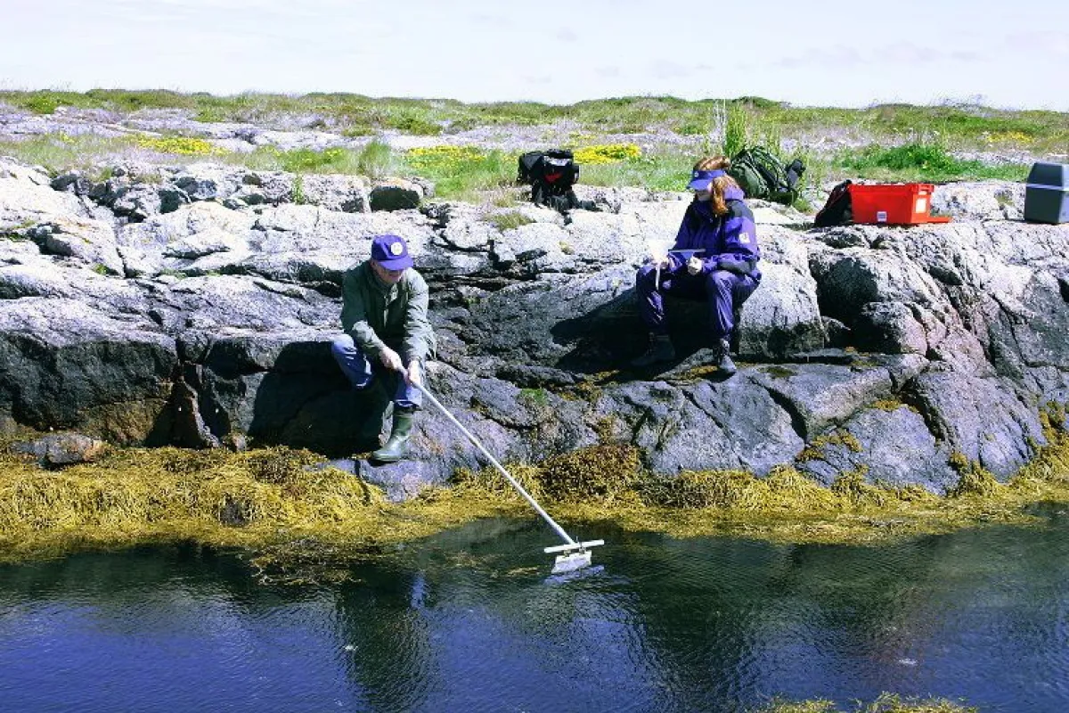 Workers harvest sunscreen-producing bacteria from Norway's Trondheim fjord (Photo: Credit Geir Klinkenberg, SINTEF)