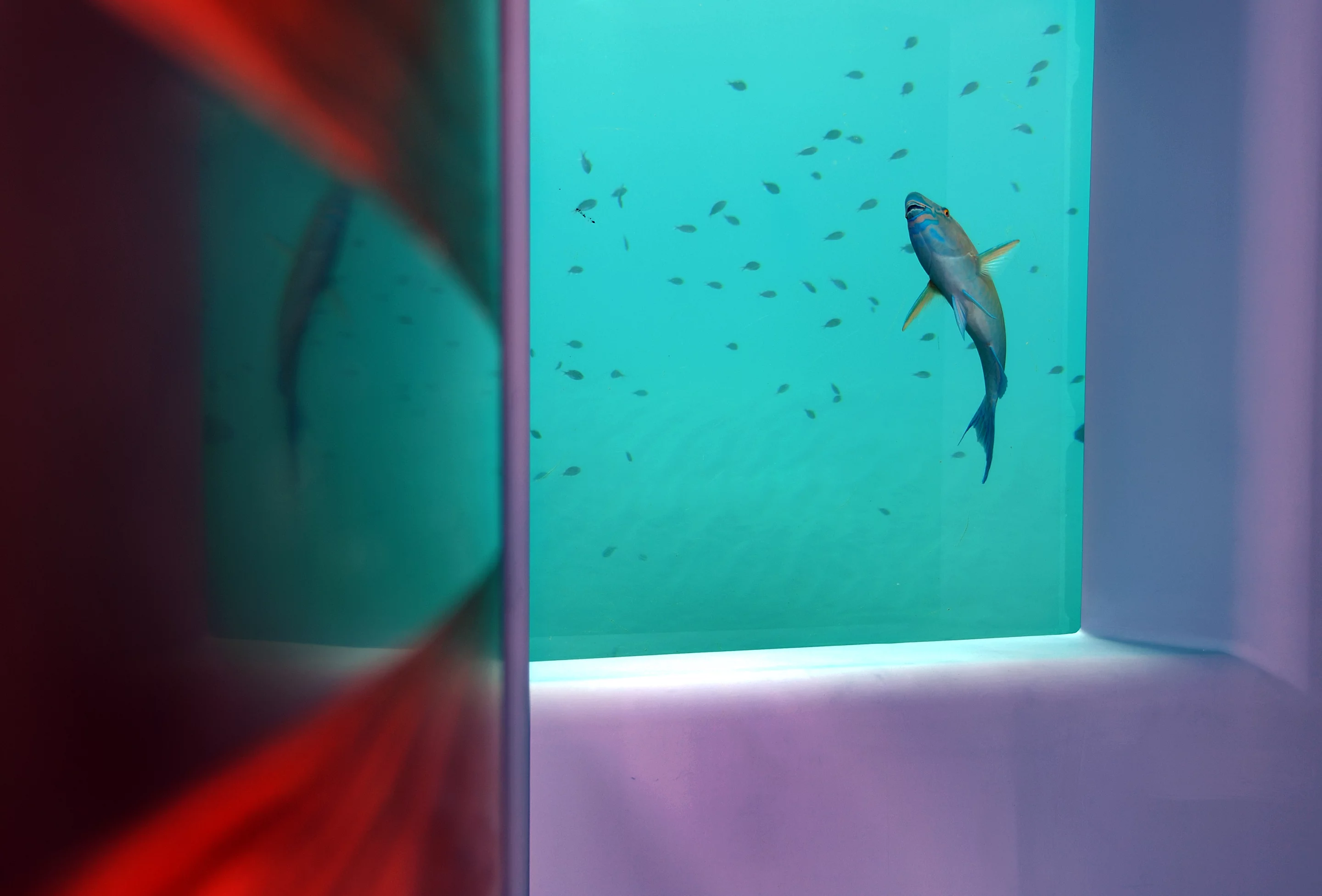 A steam room, gym, yoga, and raw food restaurant offer a suitably opulent experience