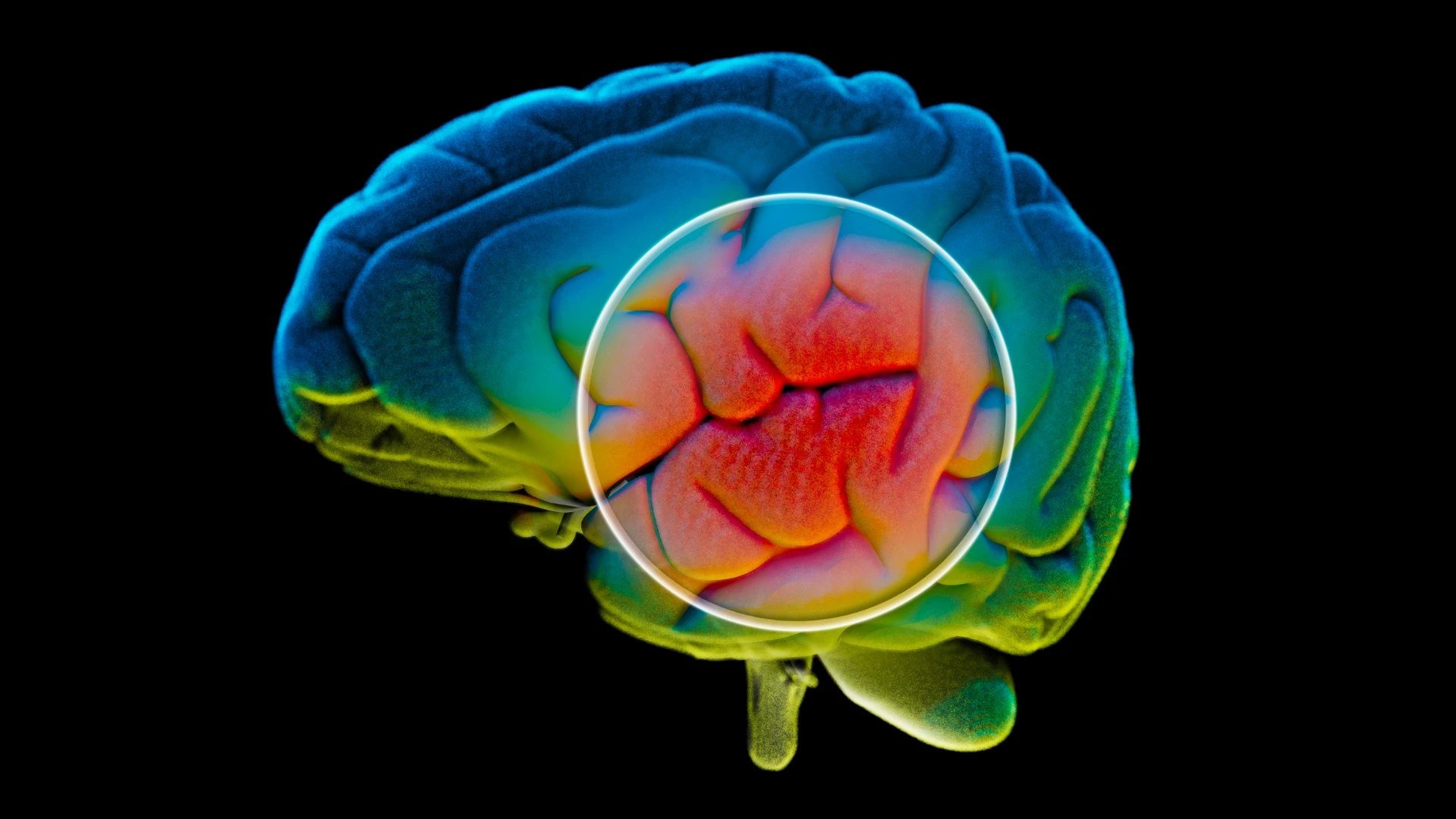 A drinkable cocktail composed of newly discovered polymers may disrupt the early stages of Alzheimer's