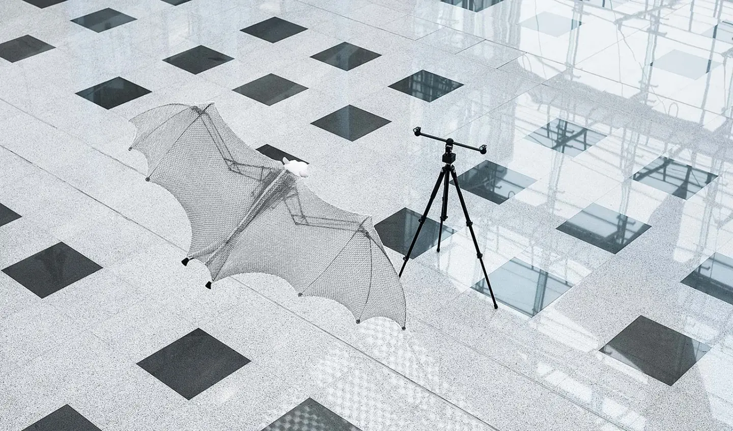 The BionicFlyingFox is tracked by two infrared cameras