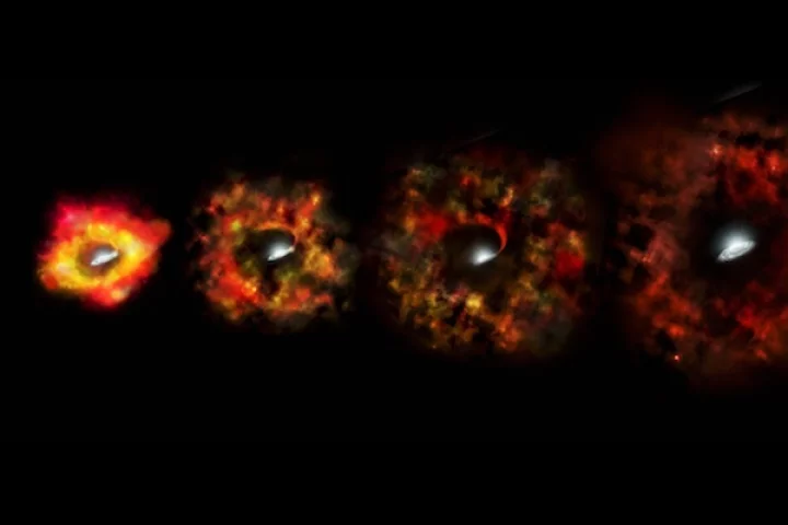 A star that disappeared before astronomers' eyes could mark the first time the birth of a black hole has been directly witnessed
