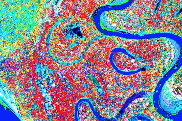 The maps represent the first time that such a large number of chemicals have been mapped and measured in any forest on the planet