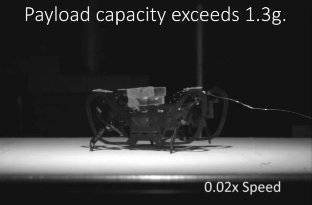 The HAMR running experiment can only be observed when the video is slowed to a fraction of real time
