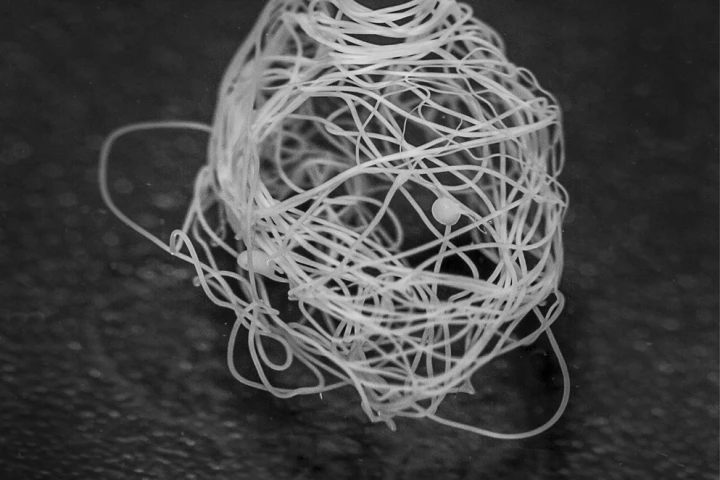 A new process developed by Swedish researchers using bacteria and spider silk proteins that mimics natural spinning production has provided the means to produce kilometer-long lengths of artificial web material