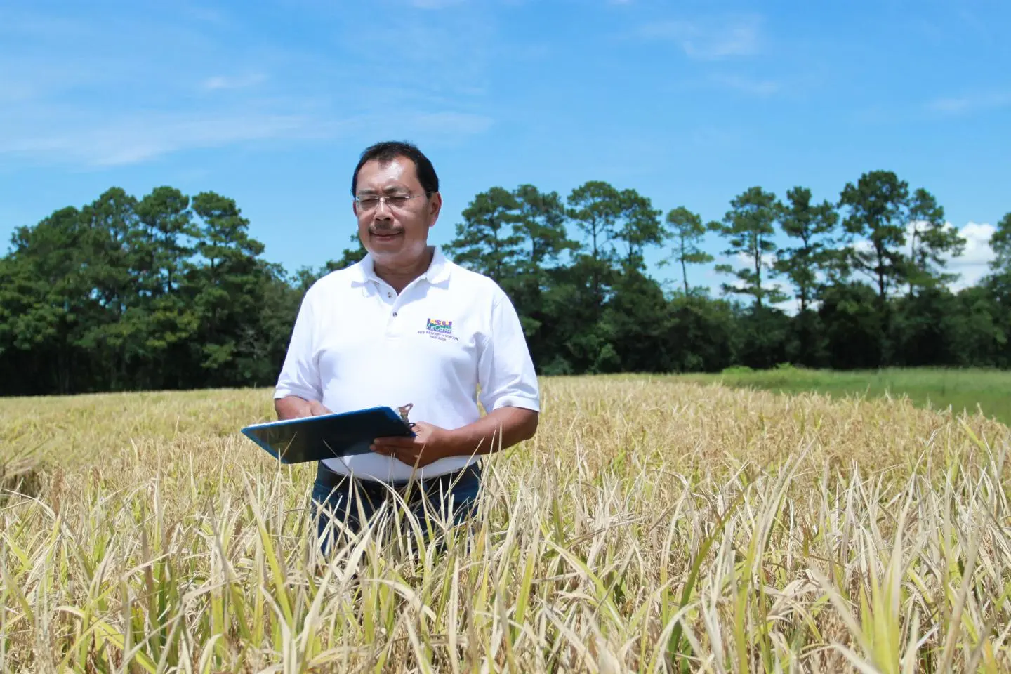 Prof. Herry Utomo evaluates the growth of new generations of high-protein rice lines