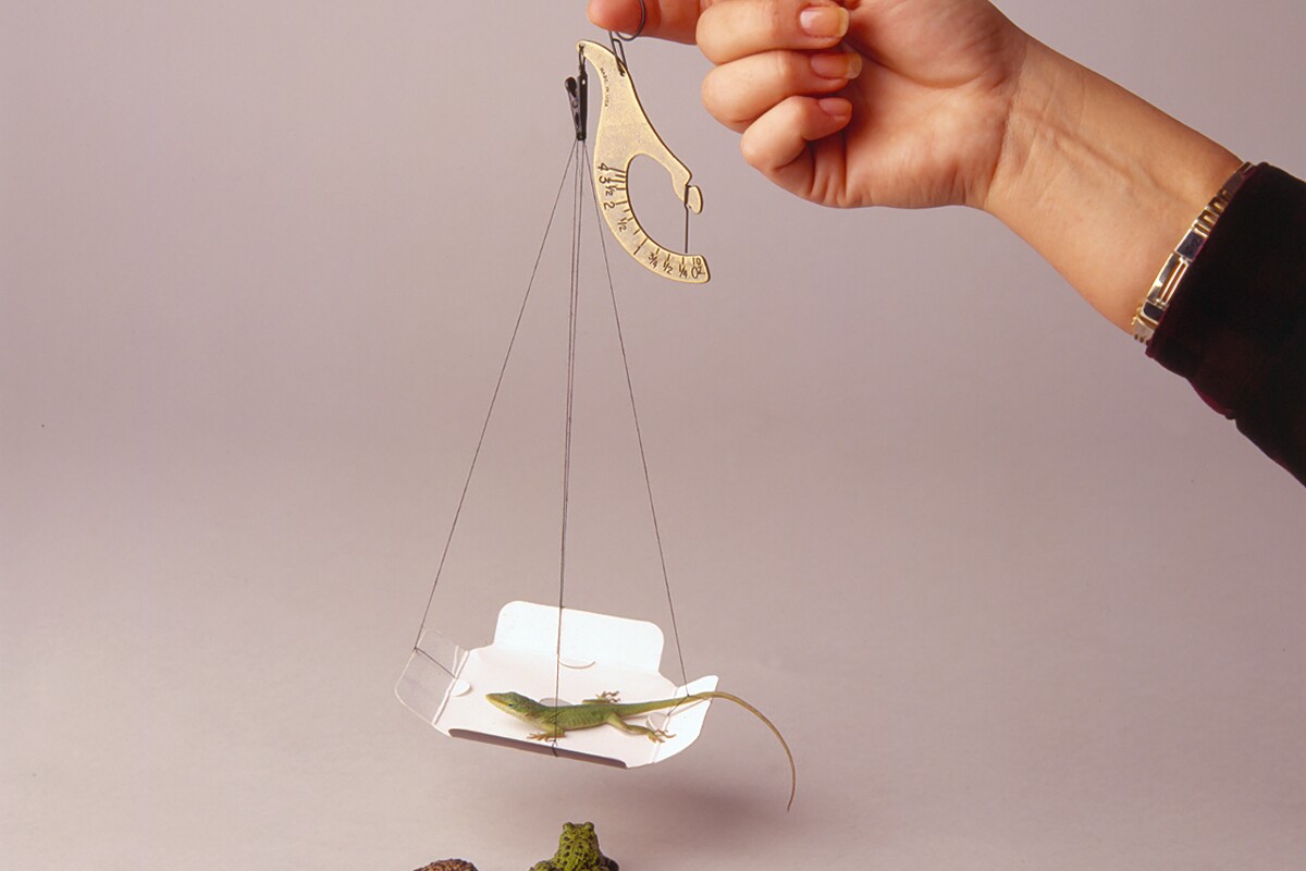 The MP4000 Personal Post Office is a non-digital, non-electronic, portable scale, based on a century-old design