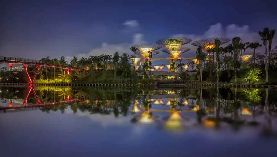 Magic Trees in the Gardens by the Bay, Singapore