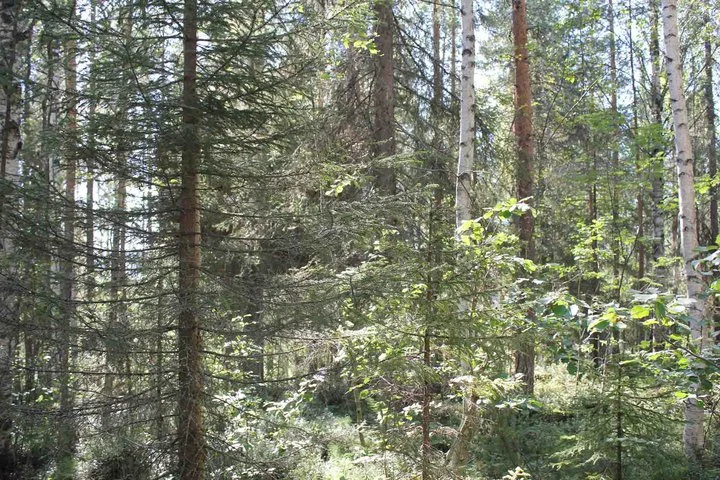 Can you see The Mirrorcube?
