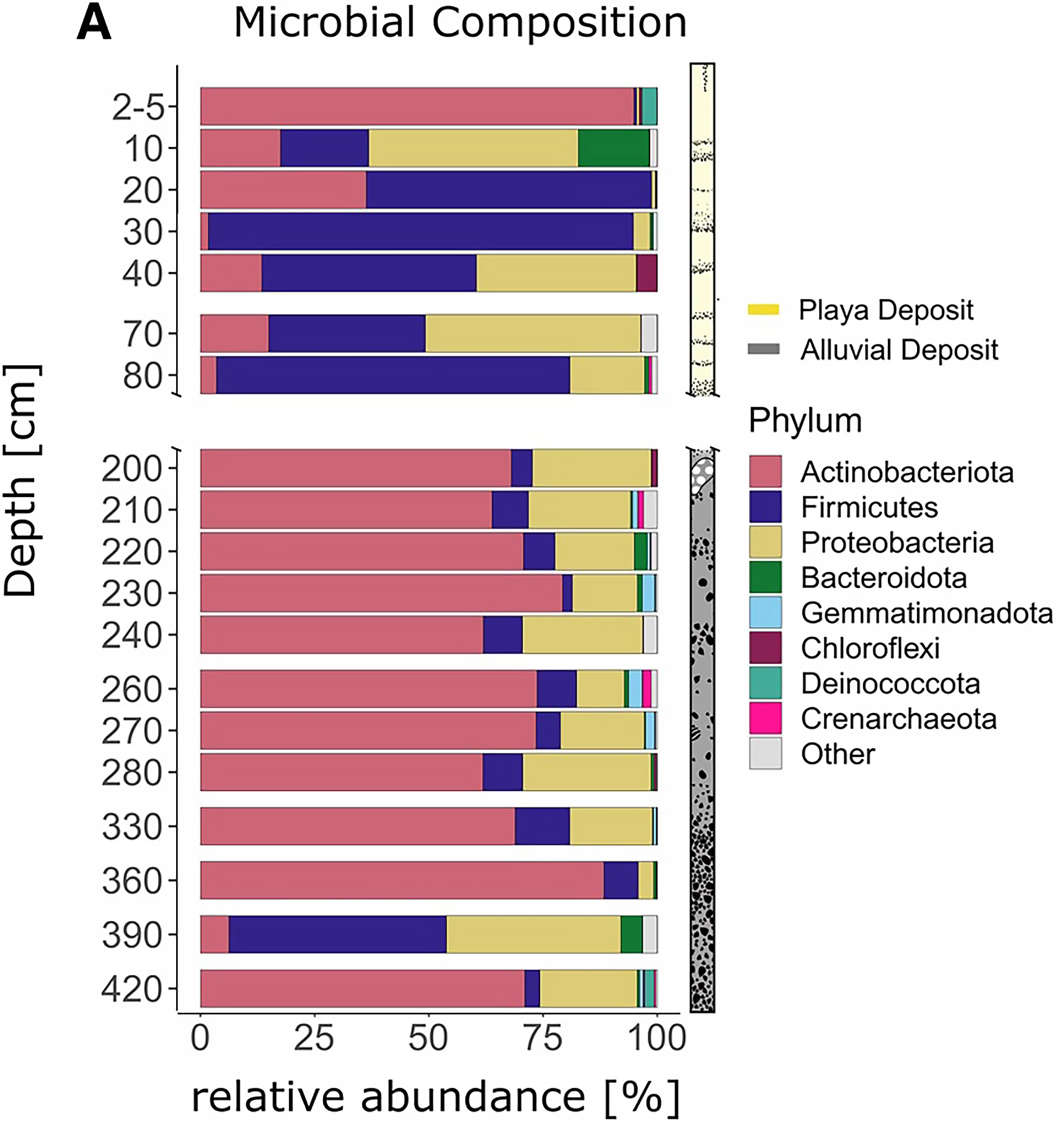 The microbial composition of different subsurface depths