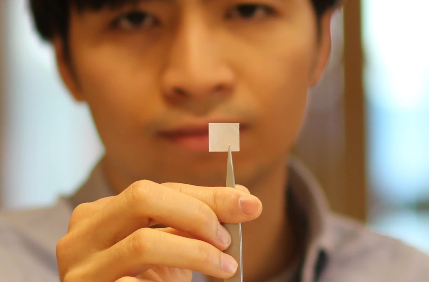 A sample of the piezoelectric polymer