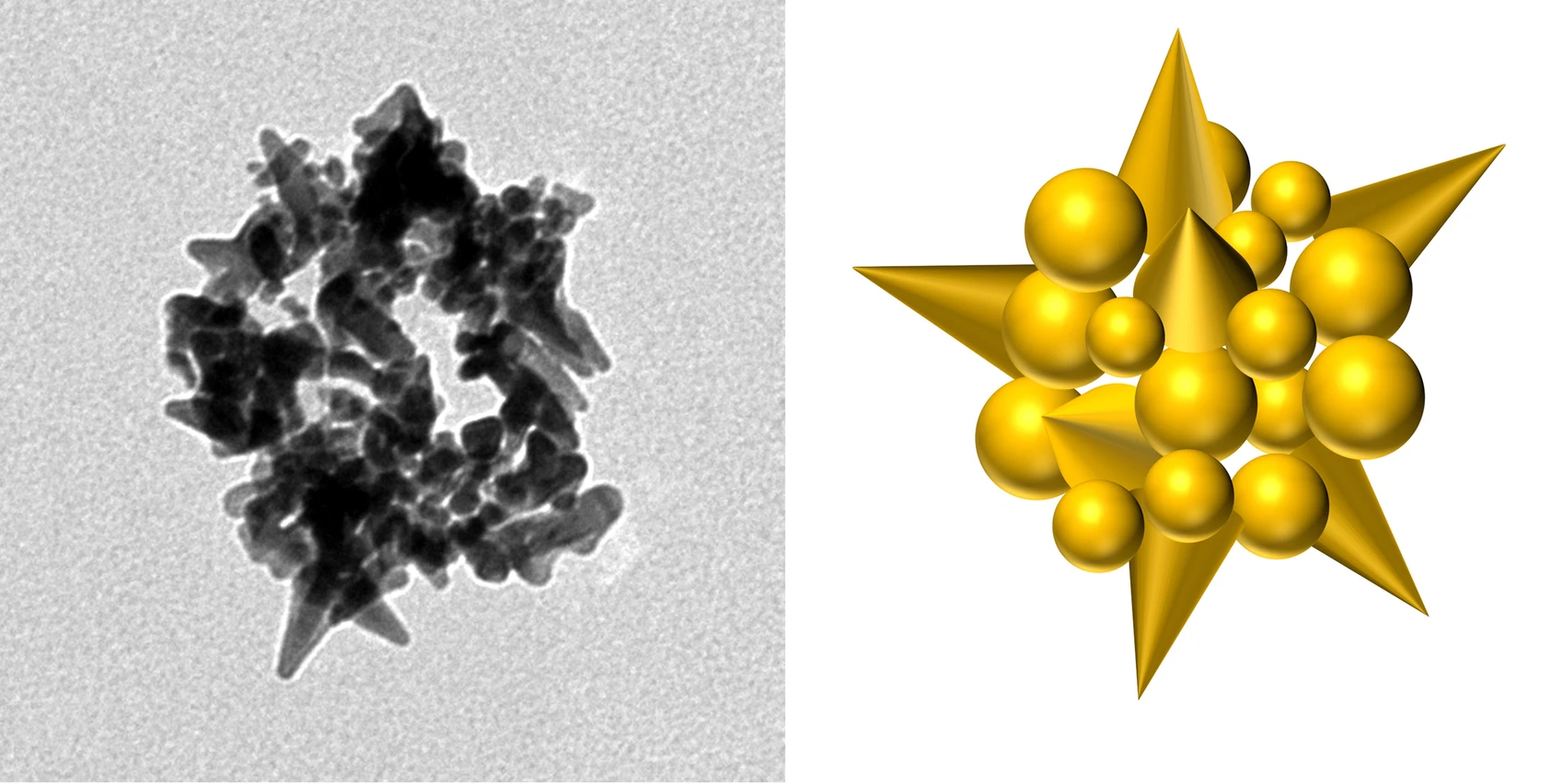 Left, an electron microscope image of a gold nanobead made by the M13 virus, with an artist's impression (right)