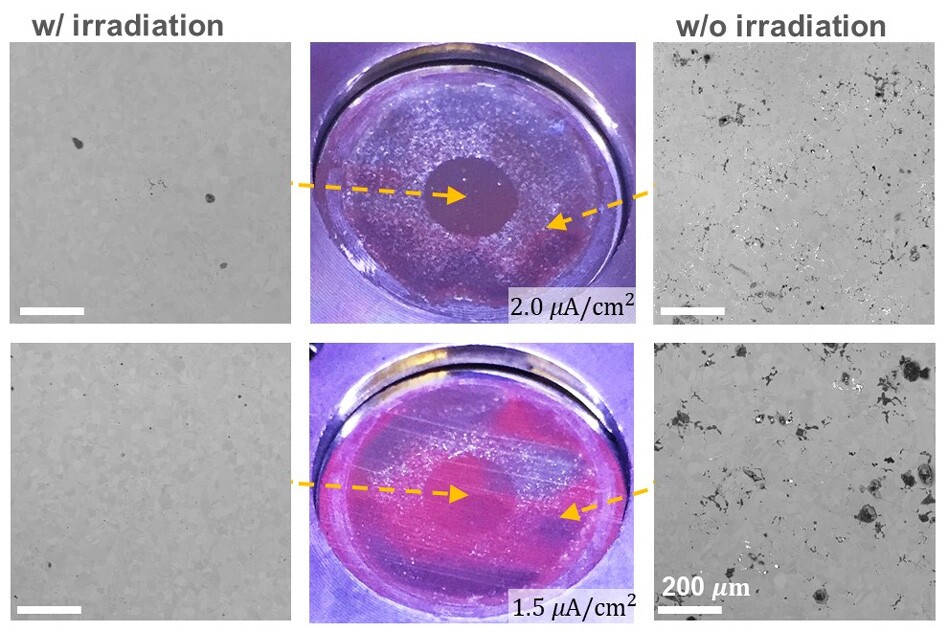 Images of a nickel-chromium alloy exposed to molten salts. The photos show that when the metal is exposed to radiation, less defects (dark grey splotches) form than when the metal isn't irradiated
