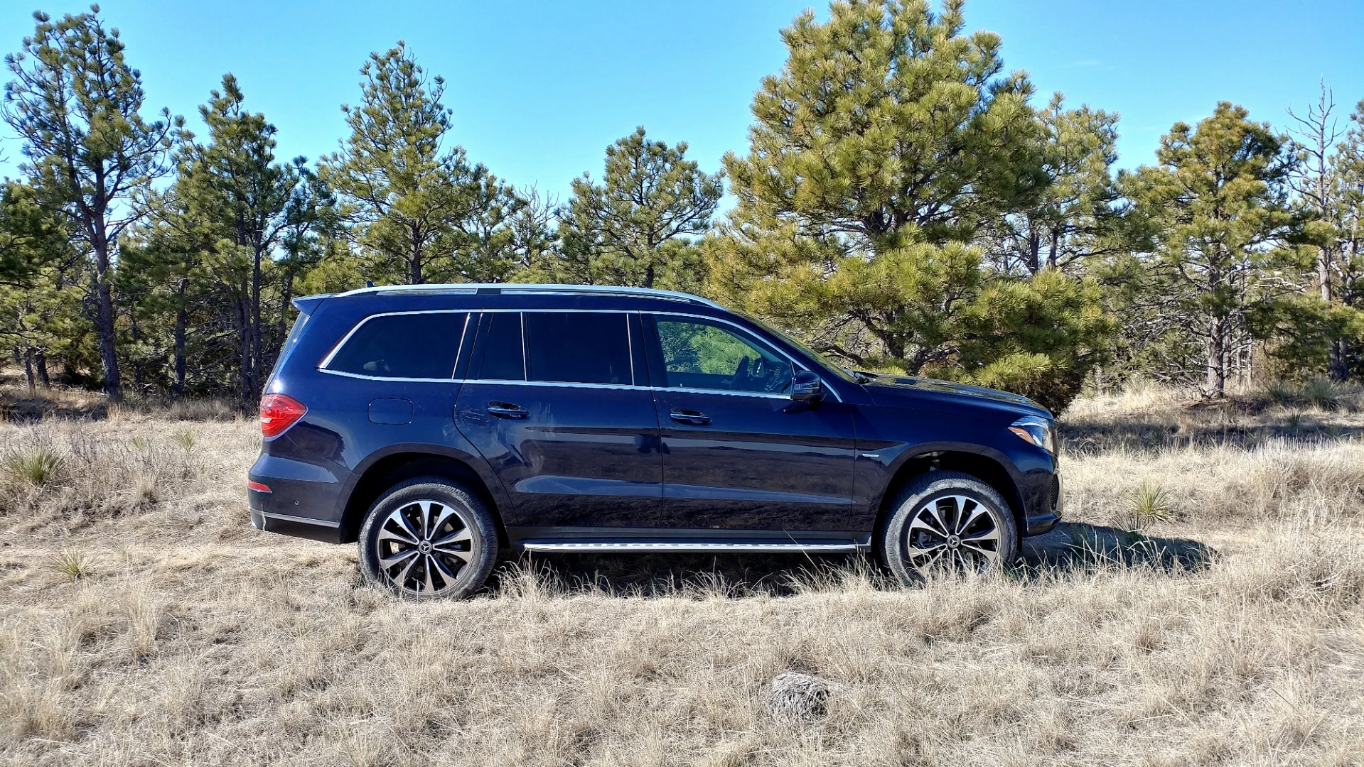 The 2019 Mercedes-Benz GLS hits all of the right marks with the luxurious family-hauling goal in mind