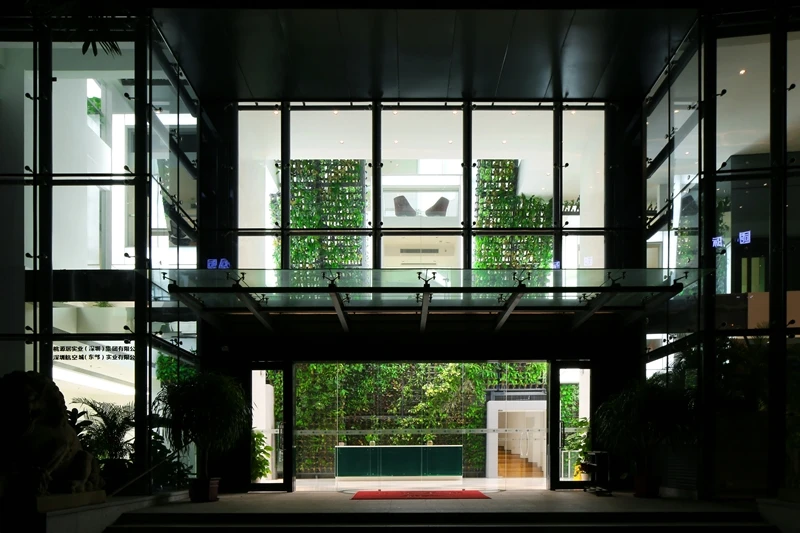 The green wall was installed as part of a broader office refurnbishment