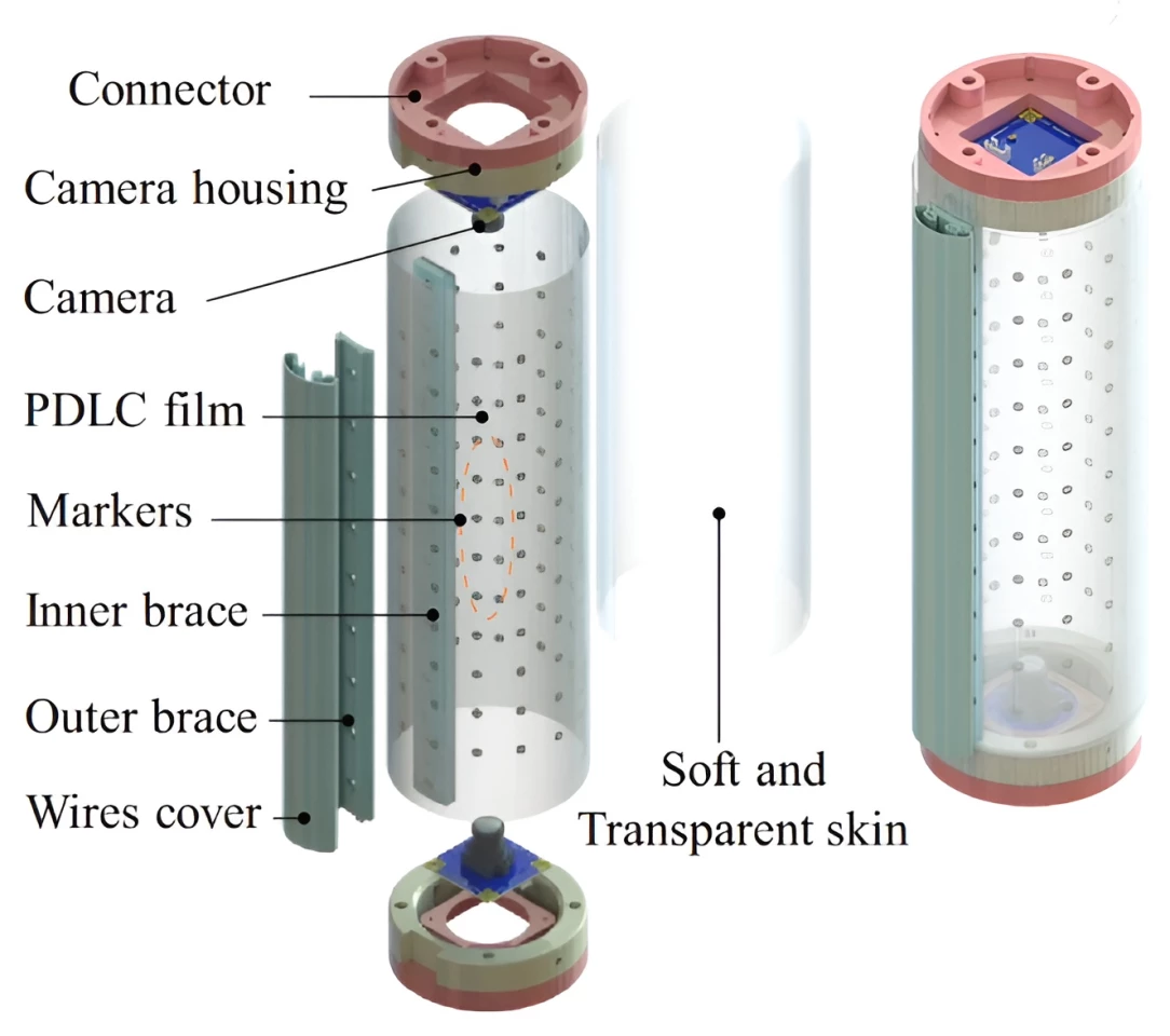 A diagram of the ProTac link