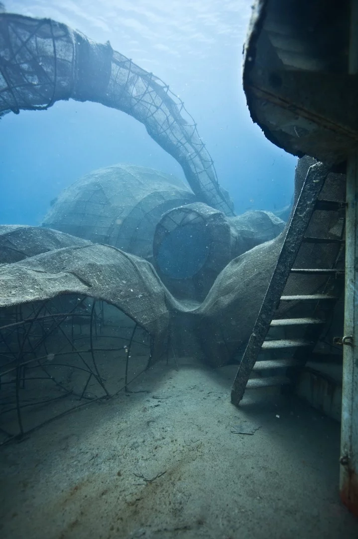 The octopus is already starting to look like a strange organic entity