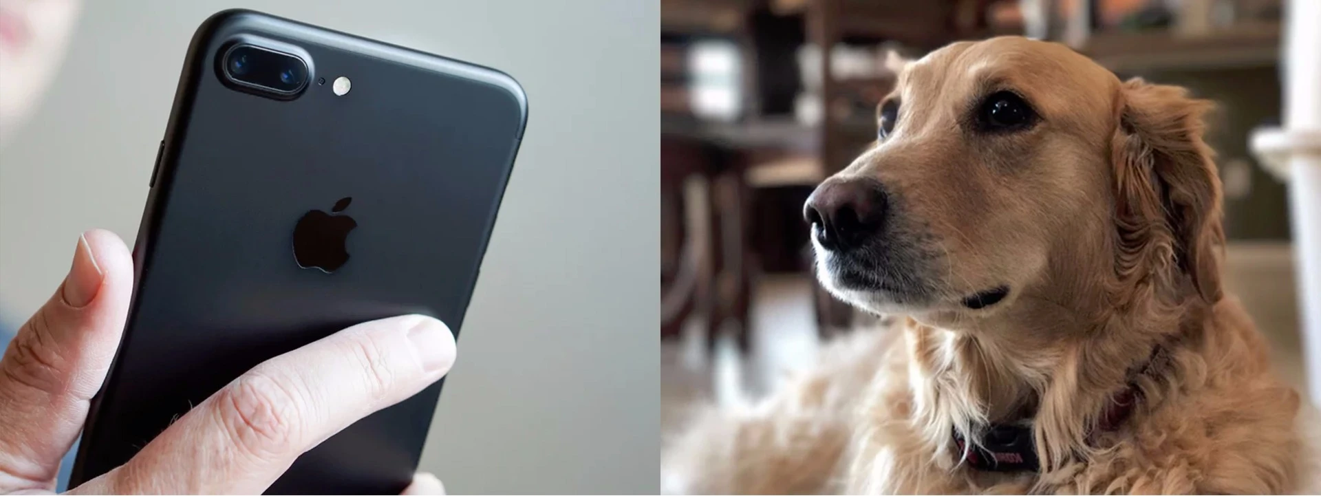 The dual-lens camera on the iPhone 7 Plus enables 2x optical zoom. In Portrait Mode, it also approximates depth-of-field effects.