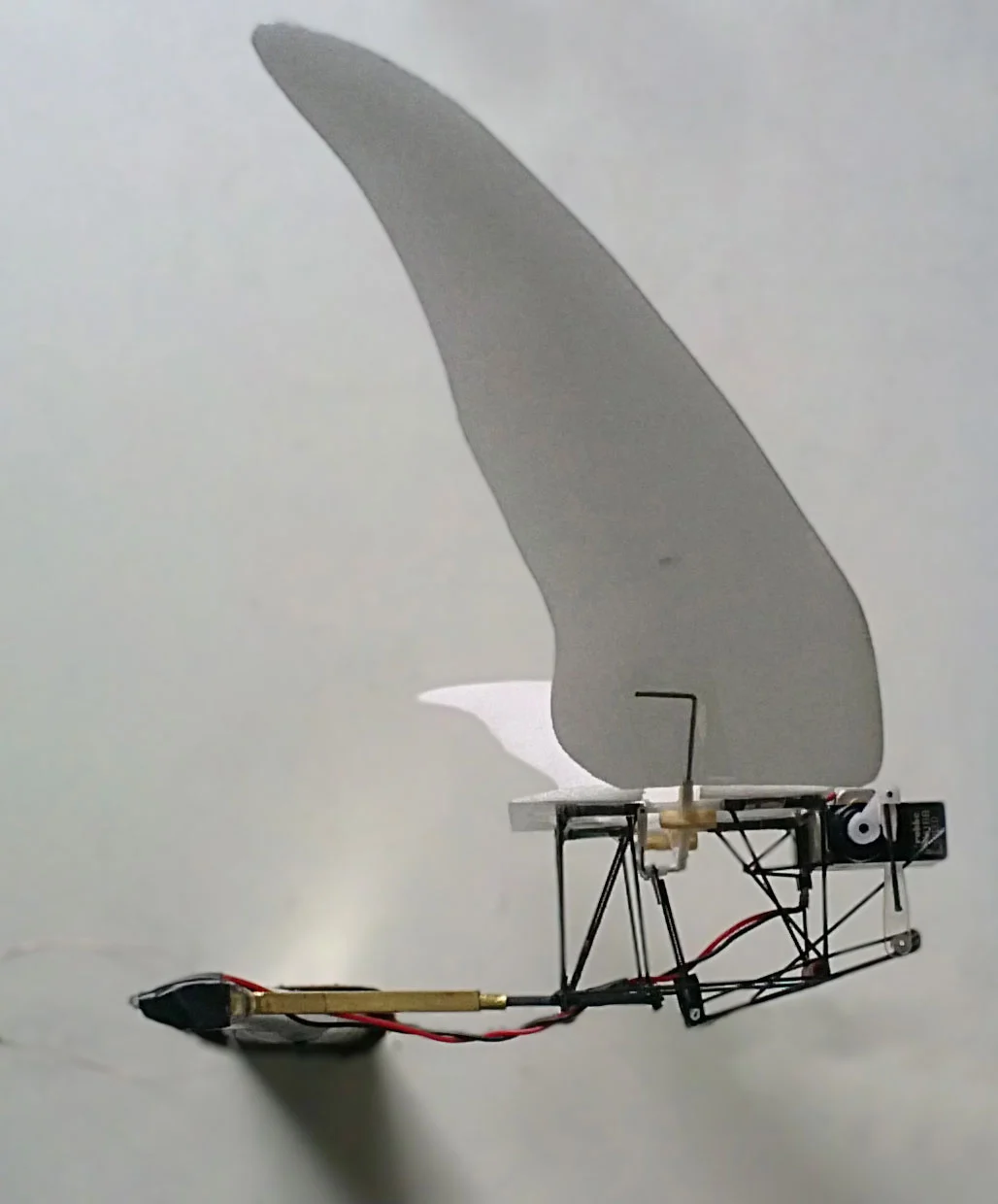 Researchers inspired by the wings of swifts and swftlets have developed an experimental Micro Air Vehicle which combines flapping and gliding flight modes for improved efficiency