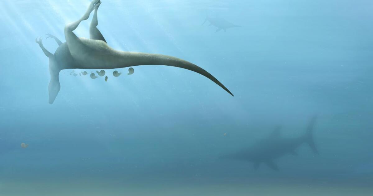 Newly discovered dinosaur was a relative of T. rex