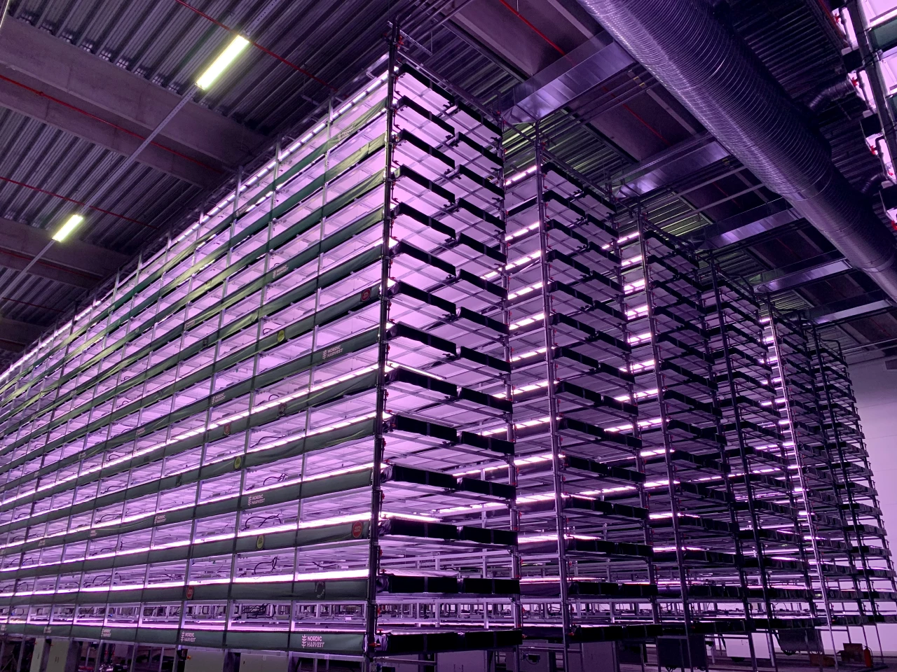 The Nordic Harvest operation is expected to scale up to produce 1,000 tonnes of salads and herbs per year