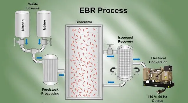 A diagram of the process utilized by the Endurance Bioenergy Reactor