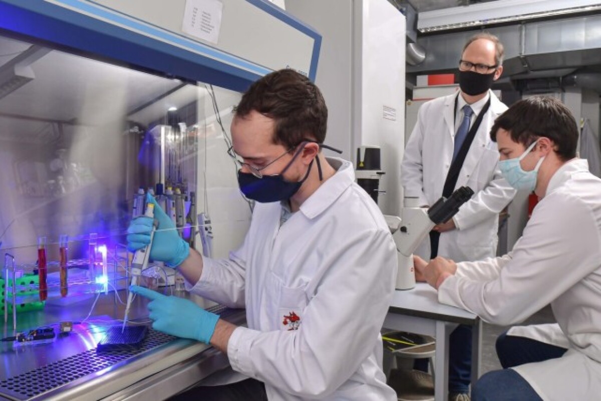 Violet light selectively switches on drugs in tiny groups of cells