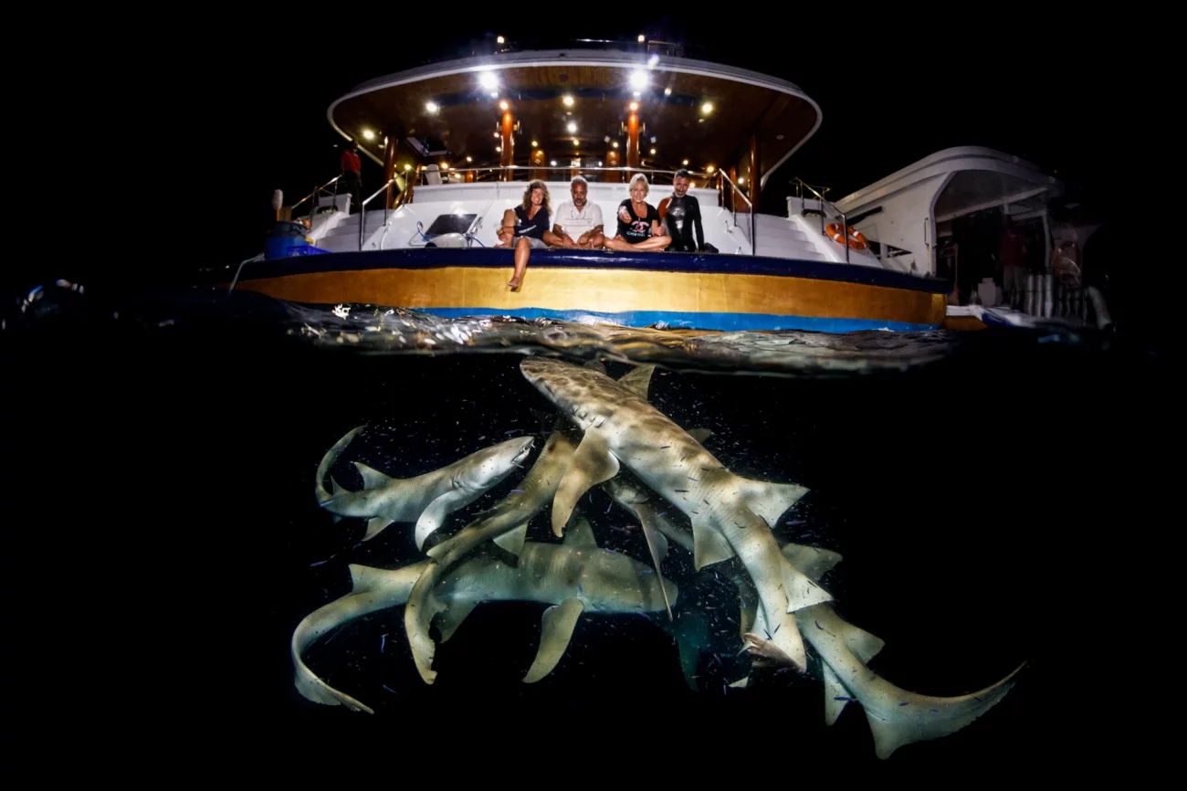 Honorable Mention - Journeys & Adventures. What Lurks Below. Maldives.