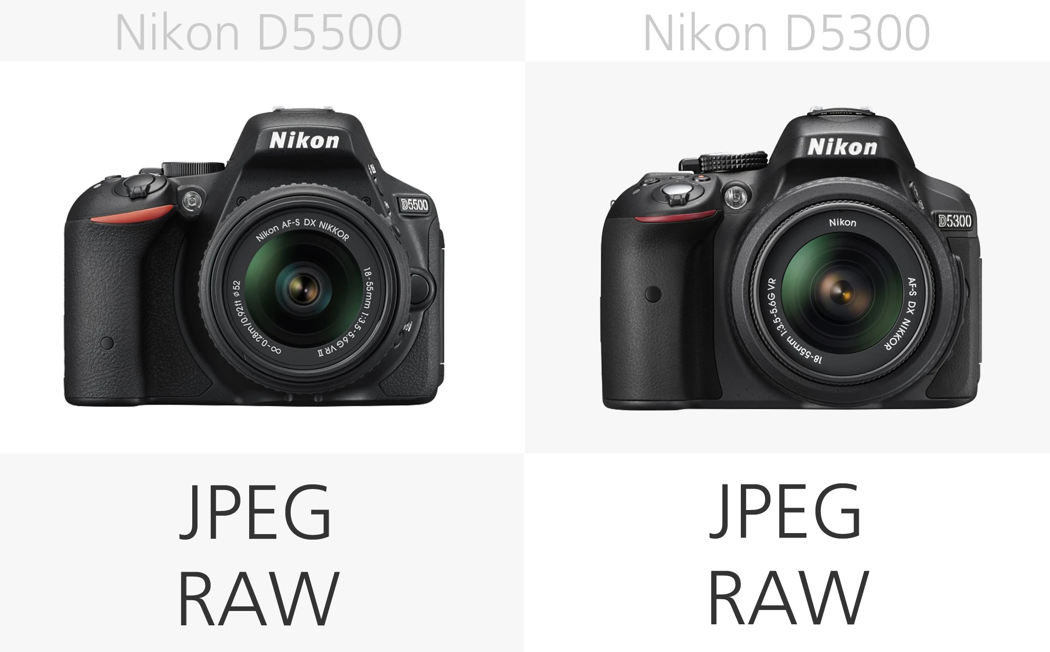 Nikon D5500 vs. Nikon D5300 flie types comparison