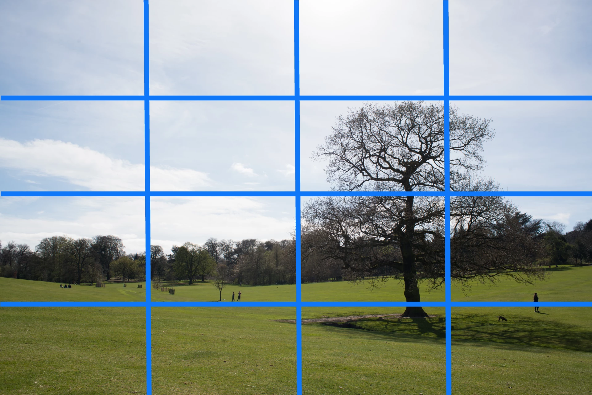 Getting out of Auto: Understanding the metering modes on your camera