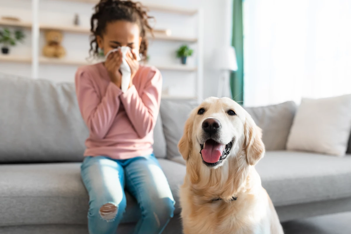 Scientists have identified the crystal structure of a protein implicated in the majority of allergic reactions to dogs for the first time