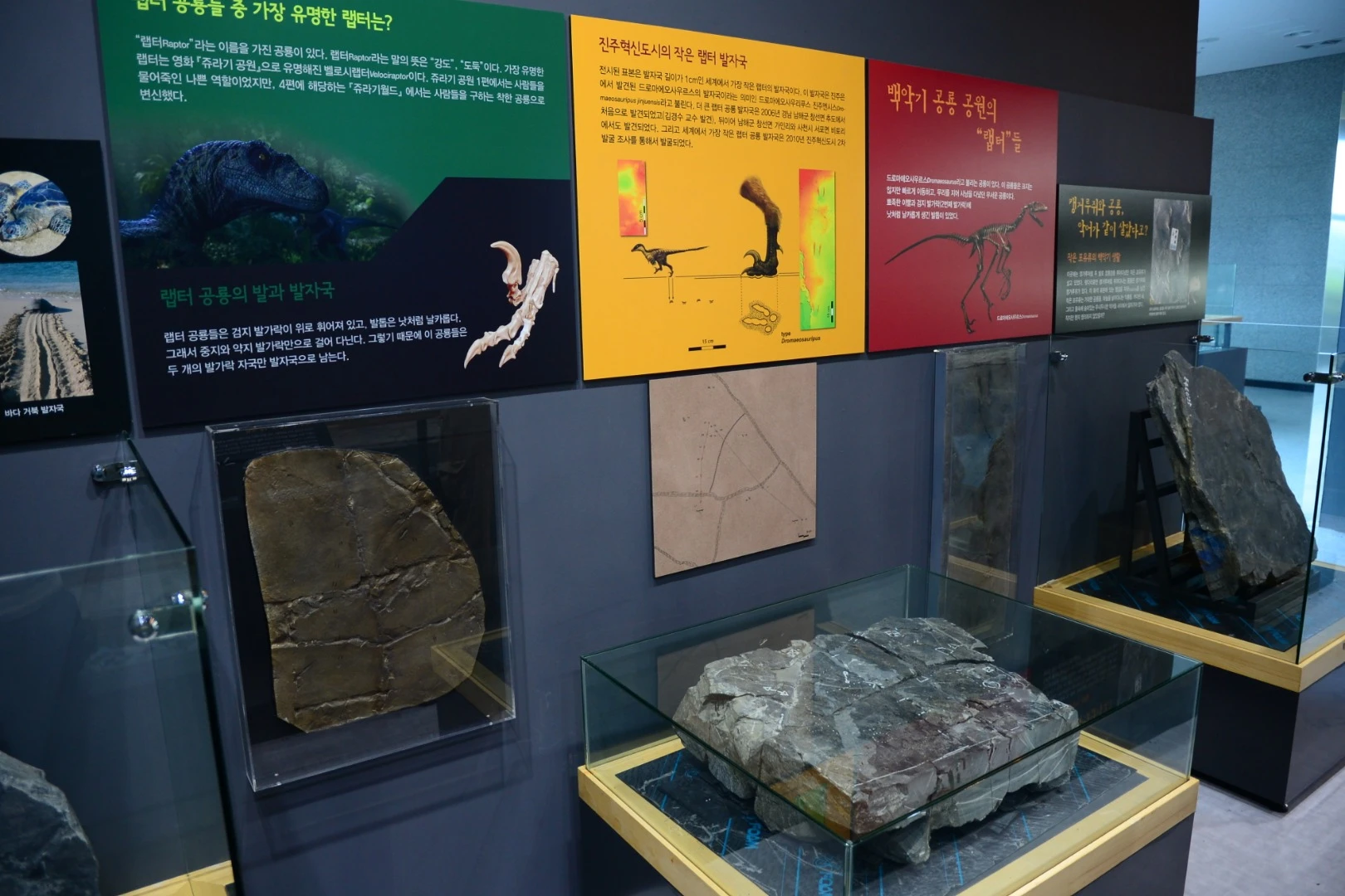 The tiny dinosaur tracks on display