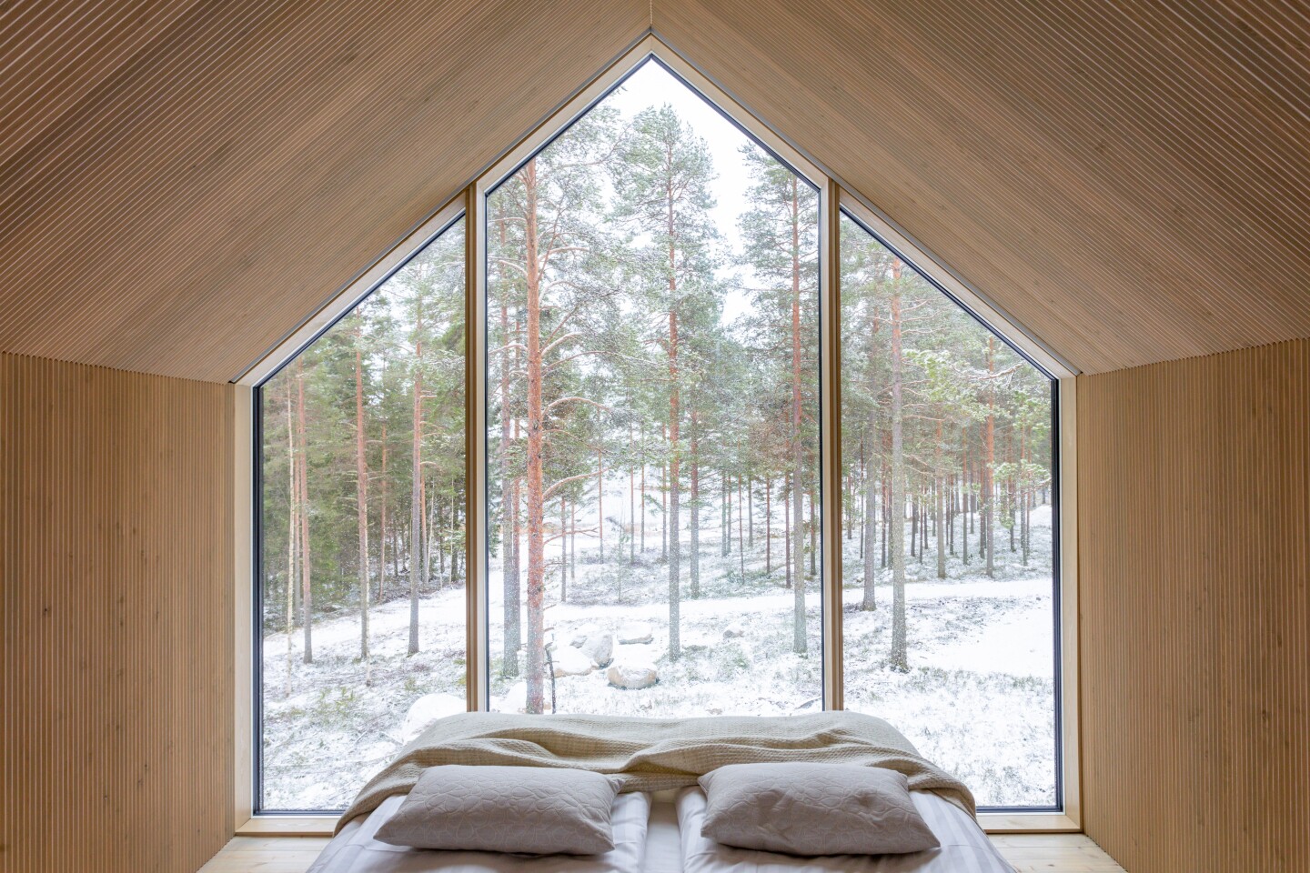 Views across the forest landscape are enhanced by the impressive height of the pitched ceiling