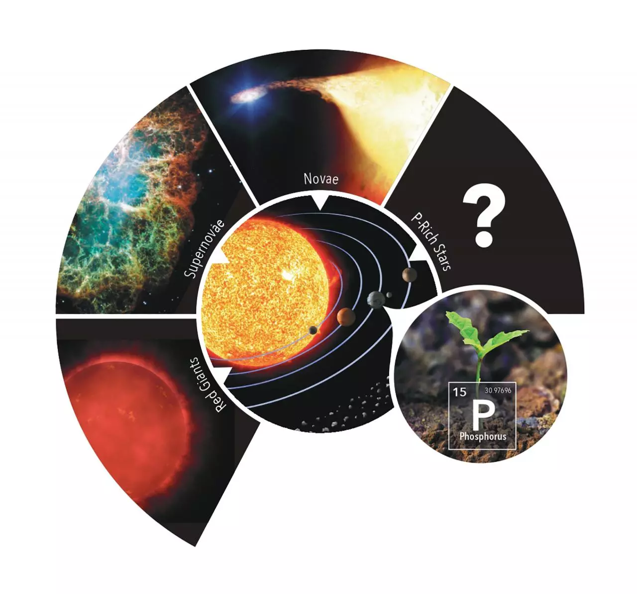 A chart highlighting possible sources of phosphorus in the universe