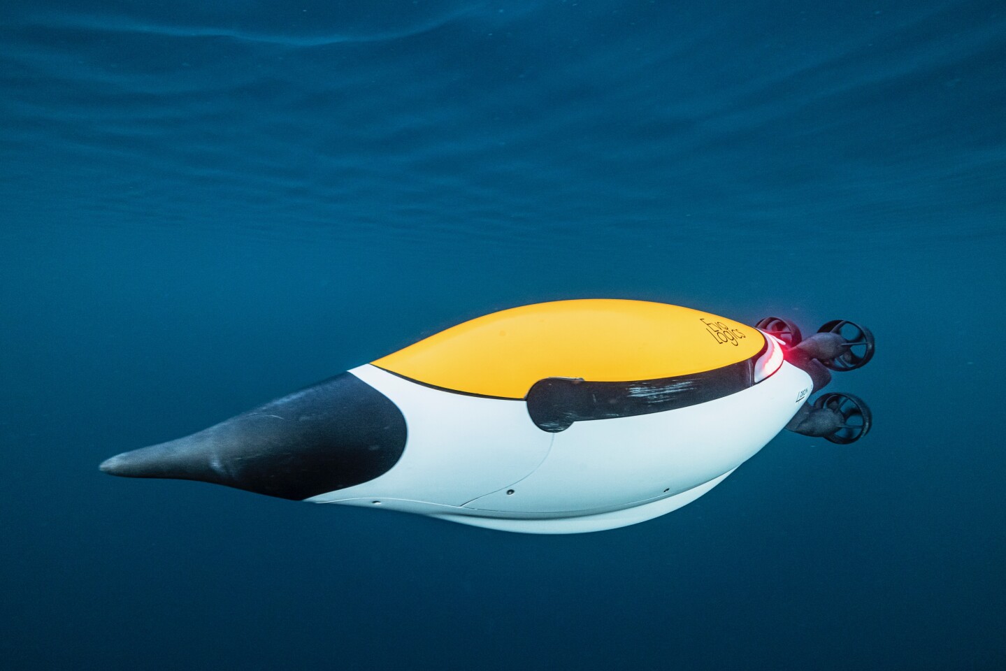 The Quadroin is 1,120 mm long (44 in) and weighs less than 25 kg (55 lb) out of the water