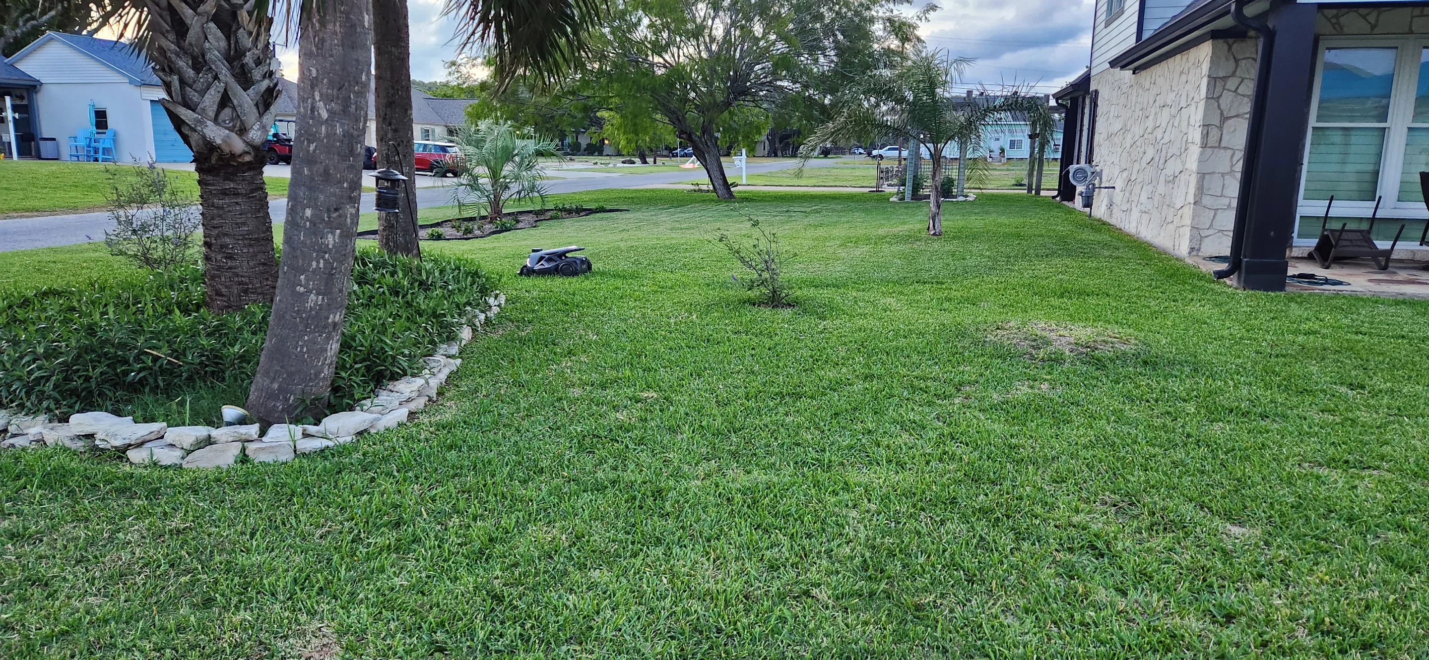 Eventually, I marked every wall, tree, shrub, and planter as a no-go zone on my second remapping of the whole property. Once I did that, the Tron did its thing, week after week, with almost zero issue