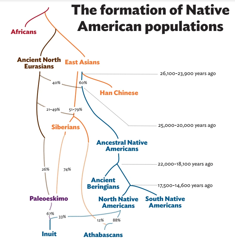 An estimated timeline showing the migration of humans into the Americas