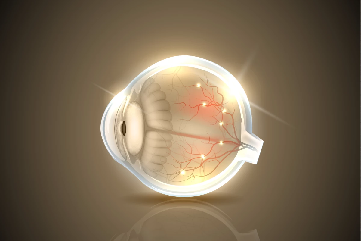 By combining two types of healthy cells into the one injection treatment, a team of scientists may have found a new way to tackle vision impairment