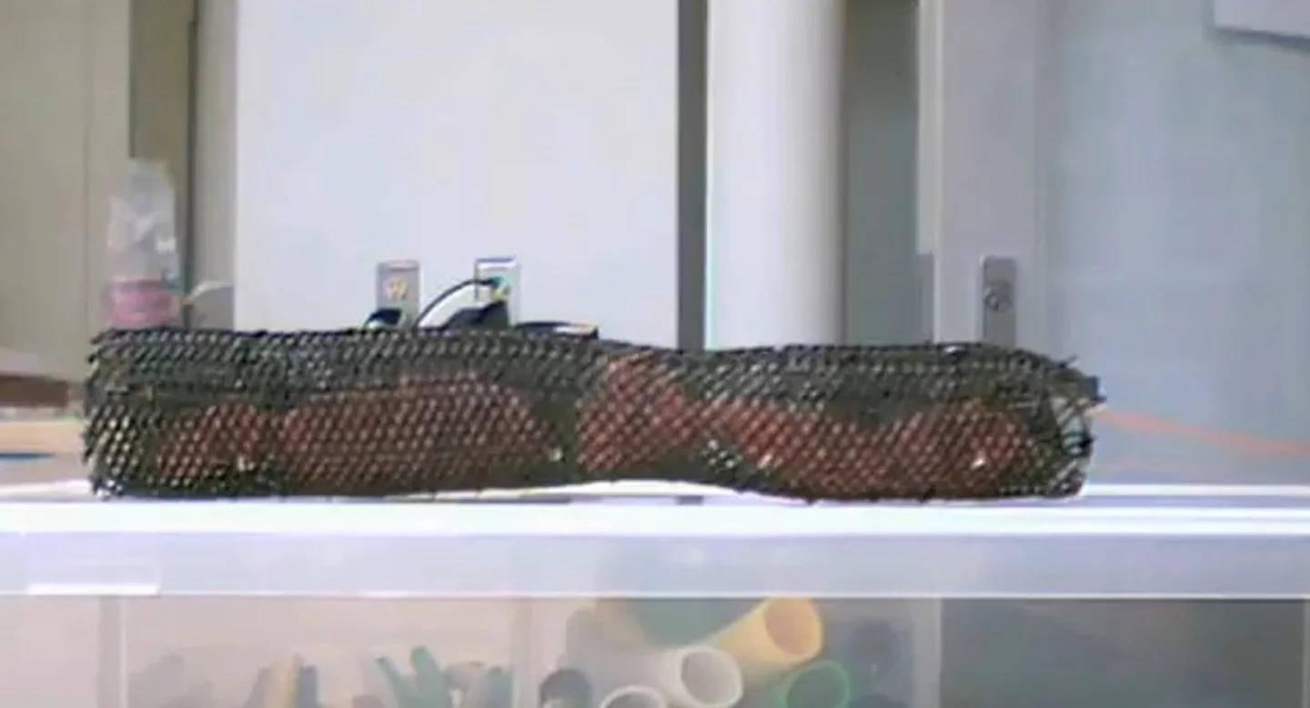 Meshworm's design is even simpler than that of an earthworm (Photo: MIT)